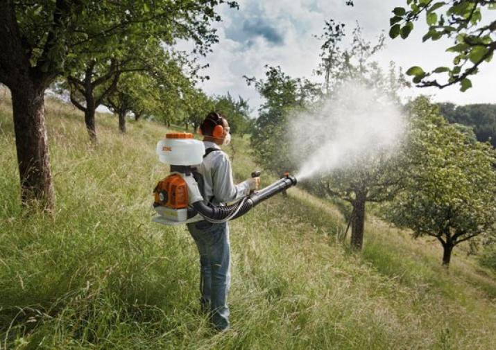 В Тульской области зафиксировано 249 случаев укусов клещей