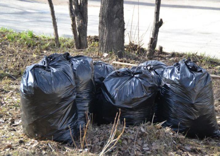 С улиц Курска вывезли более 300 кубометров мусора
