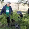 Депутаты Тулоблдумы посадили 400 деревьев в Ясной Поляне