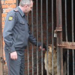 Под Тулой полицейский спас людей от агрессивной собаки, и собаку - от людей Под Тулой полицейский спас людей от агрессивной собаки, и собаку - от людей