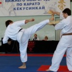 Тульском госуниверситете состоится юбилейный чемпионат области по кёкусинкай