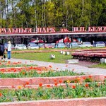 Фонтан, wi-fi и "Патриот": тульский губернатор лично провел "ревизию" дел в ЦПКиО