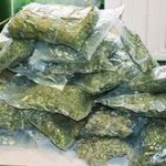 Житель Тульской области сядет на 5 лет за торговлю марихуаной
