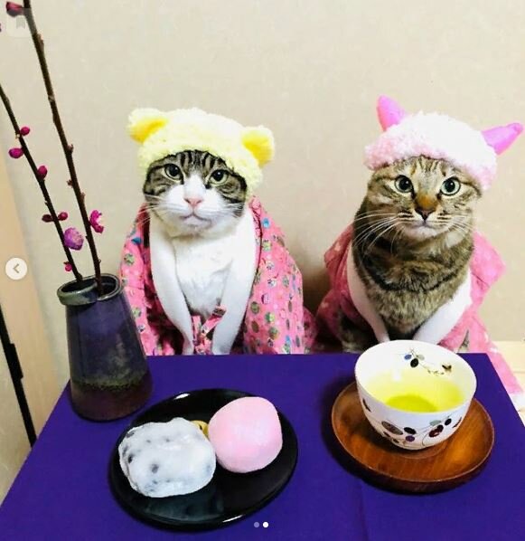 Маро и Кукури - "February 9 is the day of Daifuku(rice cake stuffed with red bean paste) in Japan"