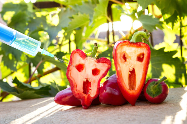 Овощи профессора X - это одна из самых распространённых иллюстраций в интернете по запросу ГМО.