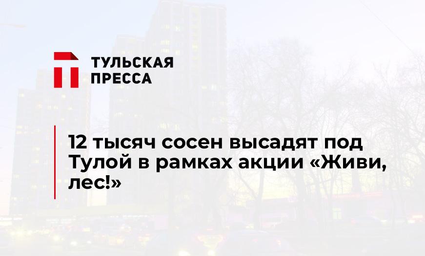 12 тысяч сосен высадят под Тулой в рамках акции "Живи, лес!"
