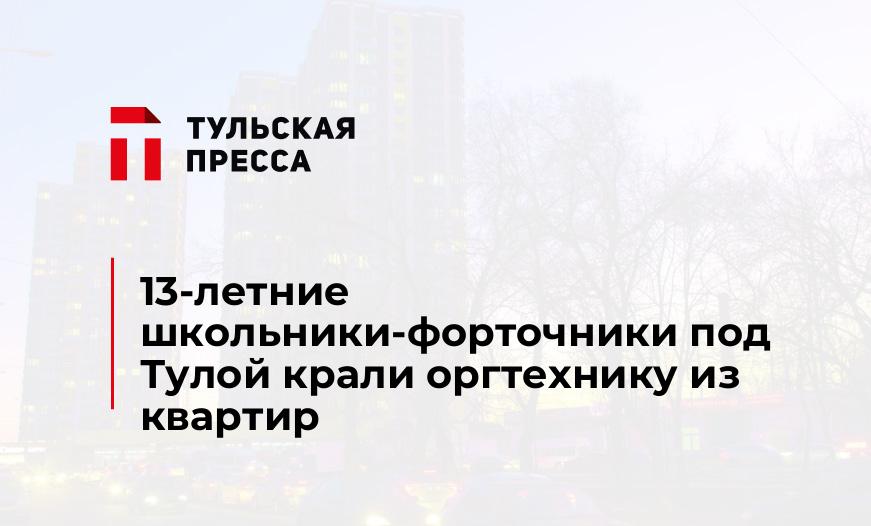 13-летние школьники-форточники под Тулой крали оргтехнику из квартир