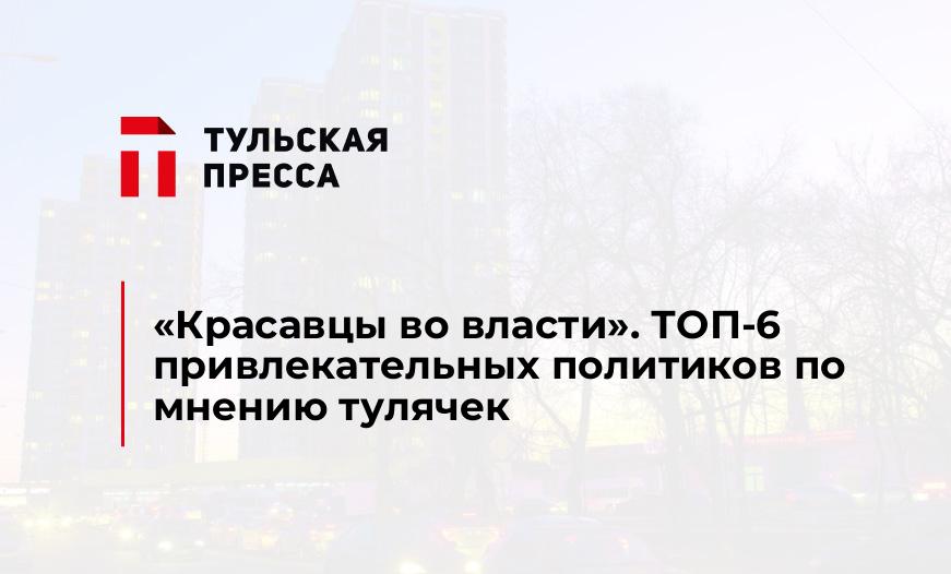 "Красавцы во власти". ТОП-6 привлекательных политиков по мнению тулячек
