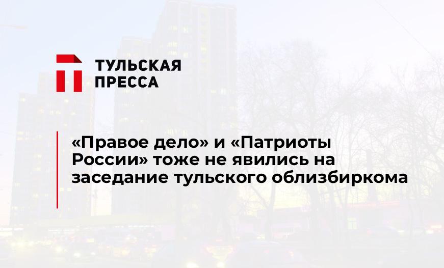 "Правое дело" и "Патриоты России" тоже не явились на заседание тульского облизбиркома