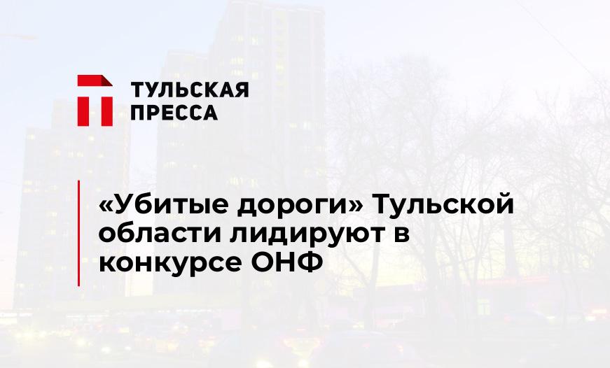 "Убитые дороги" Тульской области лидируют в конкурсе ОНФ