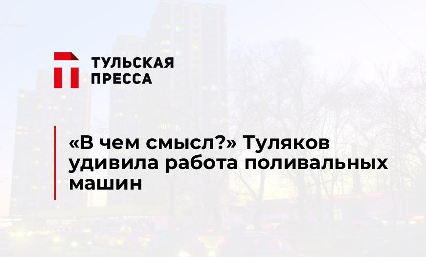 "В чем смысл?" Туляков удивила работа поливальных машин