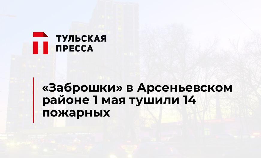 "Заброшки" в Арсеньевском районе 1 мая тушили 14 пожарных