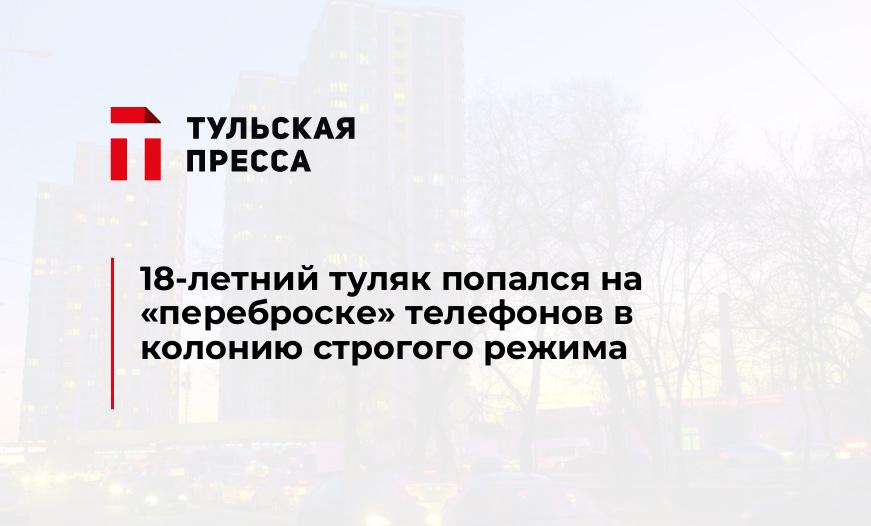 18-летний туляк попался на "переброске" телефонов в колонию строгого режима