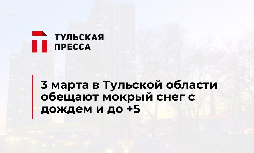 3 марта в Тульской области обещают мокрый снег с дождем и до +5