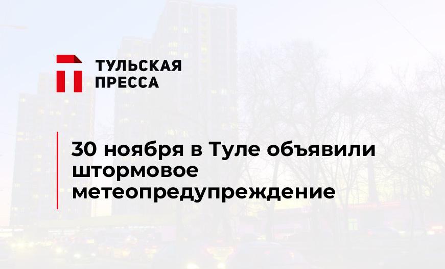 30 ноября в Туле объявили штормовое метеопредупреждение