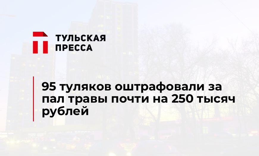 95 туляков оштрафовали за пал травы почти на 250 тысяч рублей