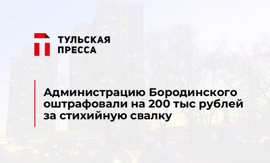 Администрацию Бородинского оштрафовали на 200 тыс рублей за стихийную свалку