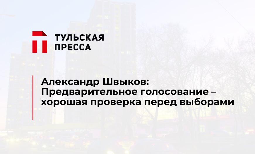 Александр Швыков: Предварительное голосование – хорошая проверка перед выборами