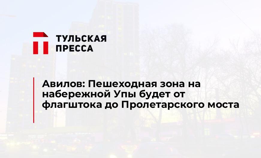 Авилов: Пешеходная зона на набережной Упы будет от флагштока до Пролетарского моста