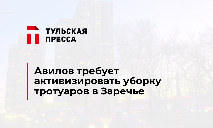 Авилов требует активизировать уборку тротуаров в Заречье