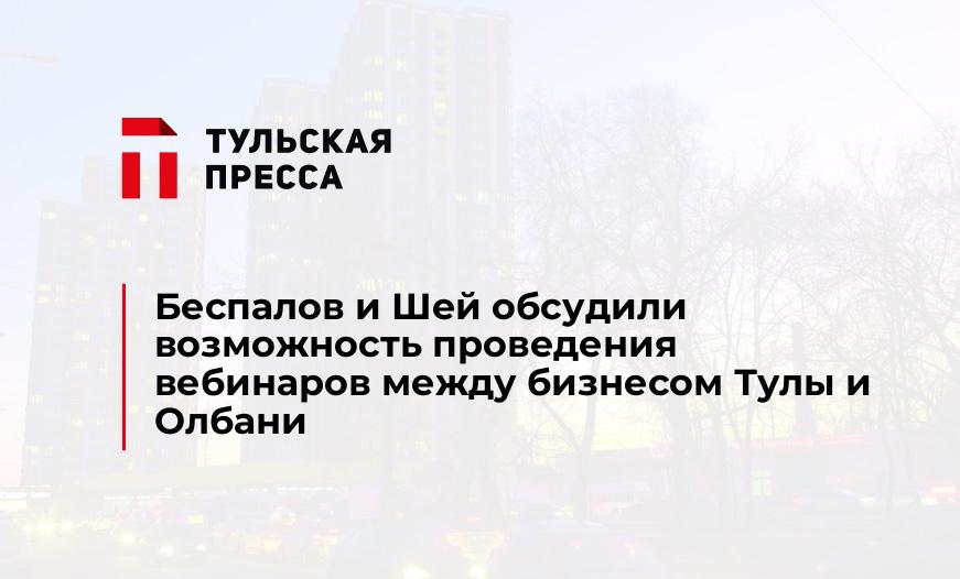 Беспалов и Шей обсудили возможность проведения вебинаров между бизнесом Тулы и Олбани