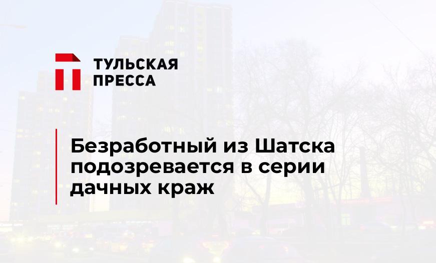 Безработный из Шатска подозревается в серии дачных краж