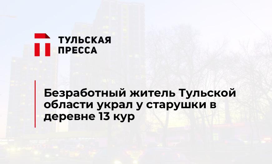 Безработный житель Тульской области украл у старушки в деревне 13 кур