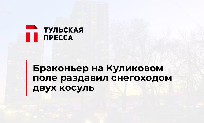 Браконьер на Куликовом поле раздавил снегоходом двух косуль