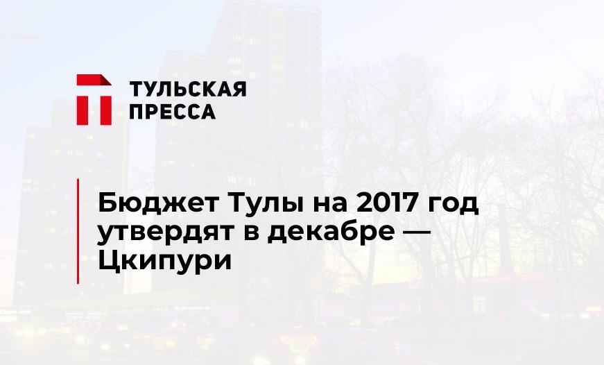 Бюджет Тулы на 2017 год утвердят в декабре - Цкипури