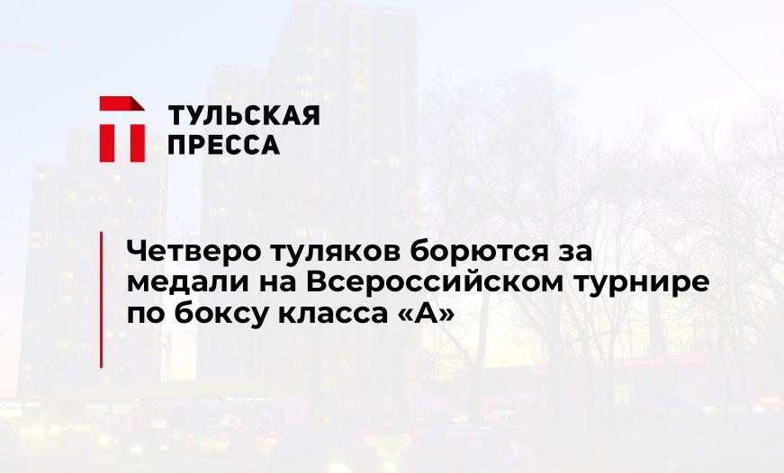 Четверо туляков борются за медали на Всероссийском турнире по боксу класса "А"
