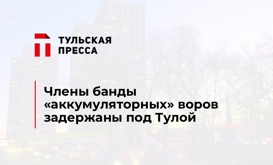 Члены банды "аккумуляторных" воров задержаны под Тулой