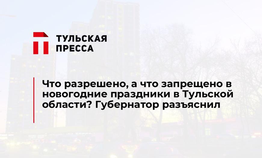 Что разрешено, а что запрещено в новогодние праздники в Тульской области? Губернатор разъяснил