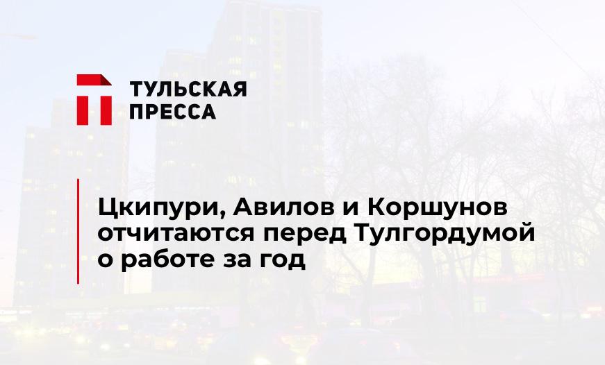 Цкипури, Авилов и Коршунов отчитаются перед Тулгордумой о работе за год