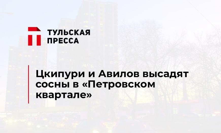 Цкипури и Авилов высадят сосны в "Петровском квартале"