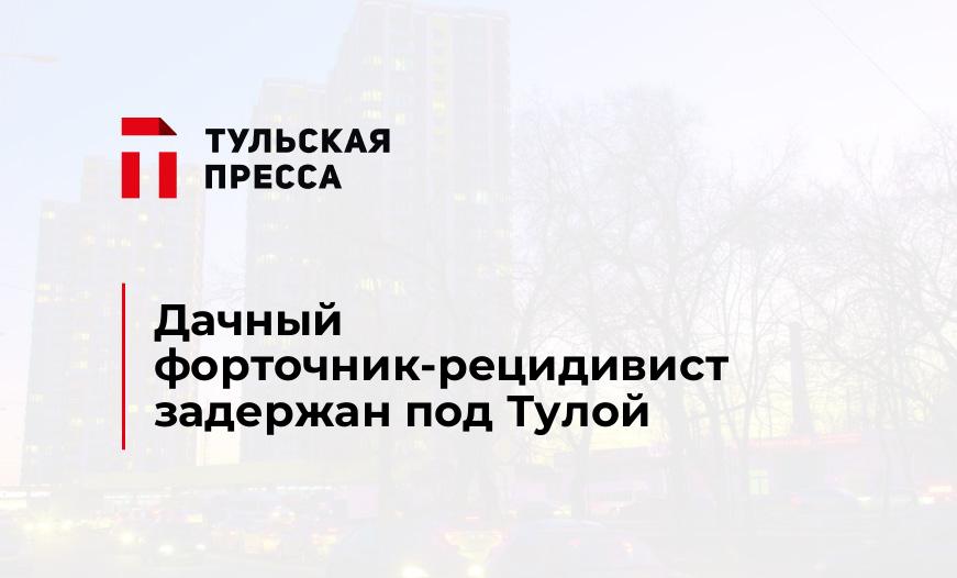 Дачный форточник-рецидивист задержан под Тулой