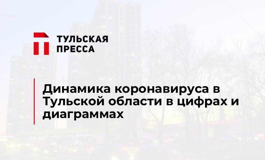 Динамика коронавируса в Тульской области в цифрах и диаграммах