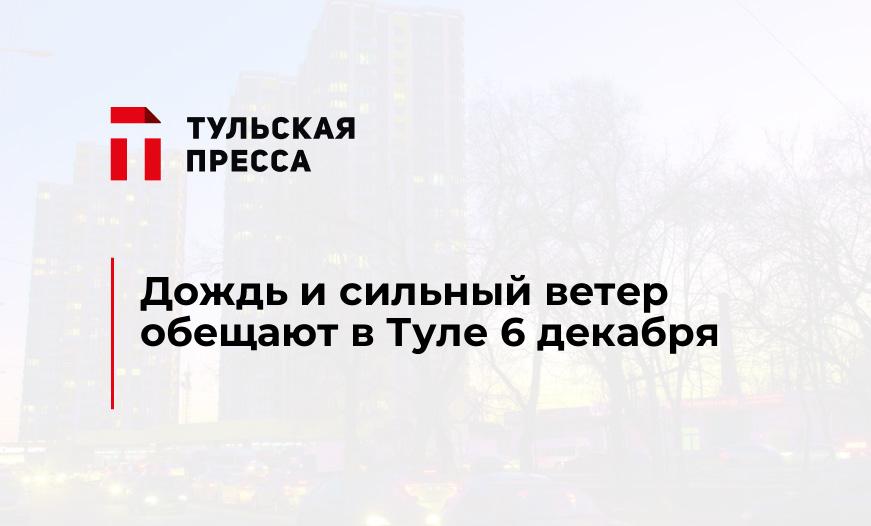 Дождь и сильный ветер обещают в Туле 6 декабря