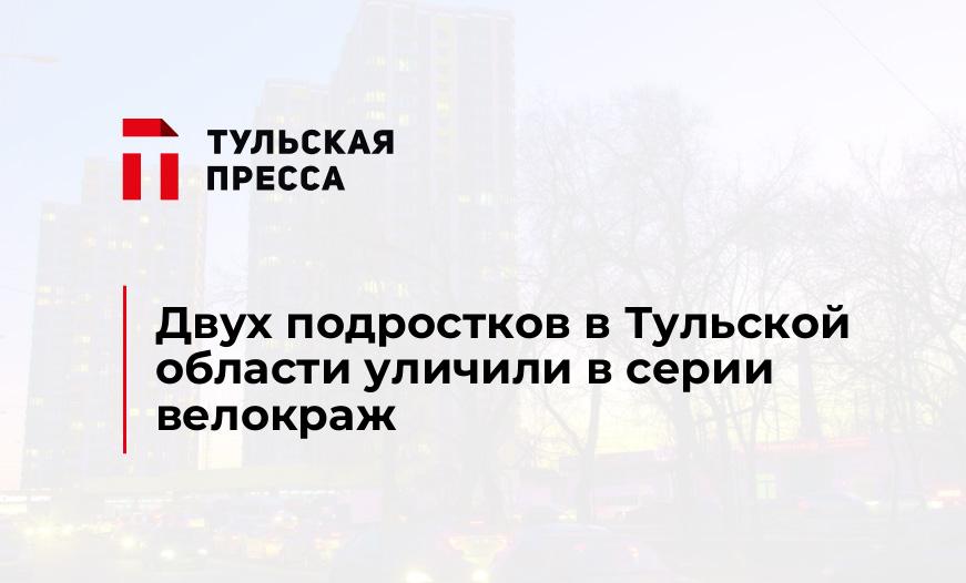Двух подростков в Тульской области уличили в серии велокраж