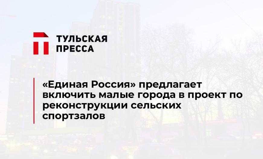 «Единая Россия» предлагает включить малые города в проект по реконструкции сельских спортзалов