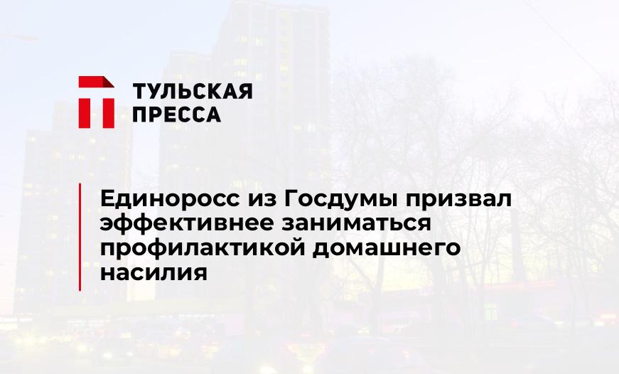 Единоросс из Госдумы призвал эффективнее заниматься профилактикой домашнего насилия