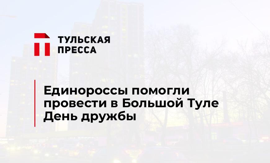 Единороссы помогли провести в Большой Туле День дружбы