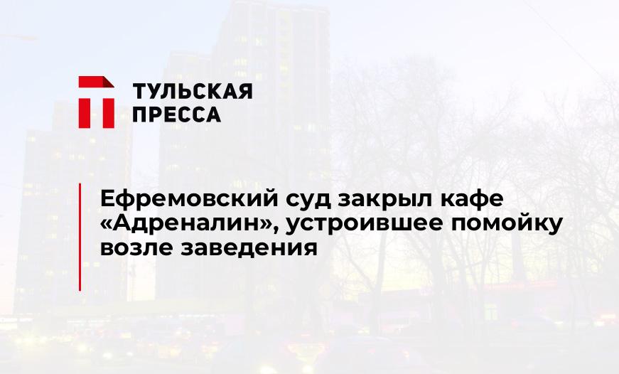 Ефремовский суд закрыл кафе "Адреналин", устроившее помойку возле заведения