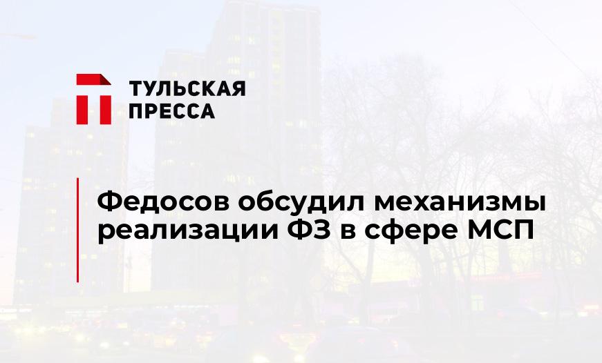 Федосов обсудил механизмы реализации ФЗ в сфере МСП