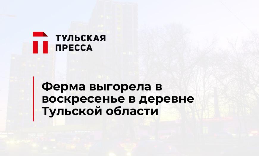 Ферма выгорела в воскресенье в деревне Тульской области