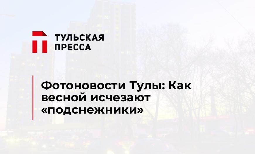 Фотоновости Тулы: Как весной исчезают "подснежники"