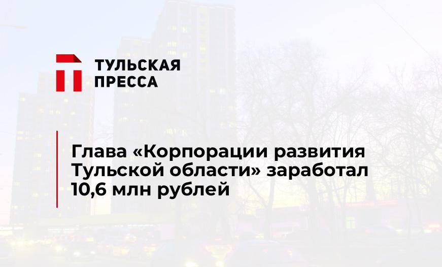 Глава «Корпорации развития Тульской области» заработал 10,6 млн рублей