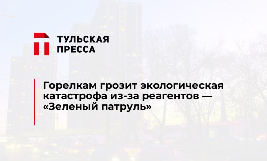 Горелкам грозит экологическая катастрофа из-за реагентов - "Зеленый патруль"