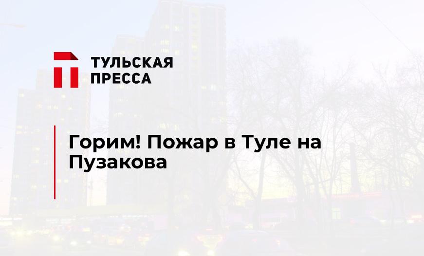 Горим! Пожар в Туле на Пузакова