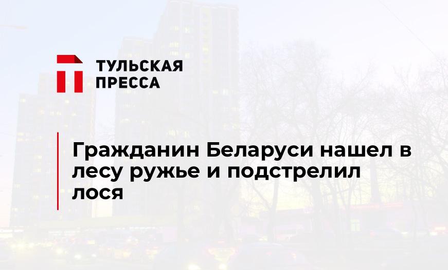 Гражданин Беларуси нашел в лесу ружье и подстрелил лося