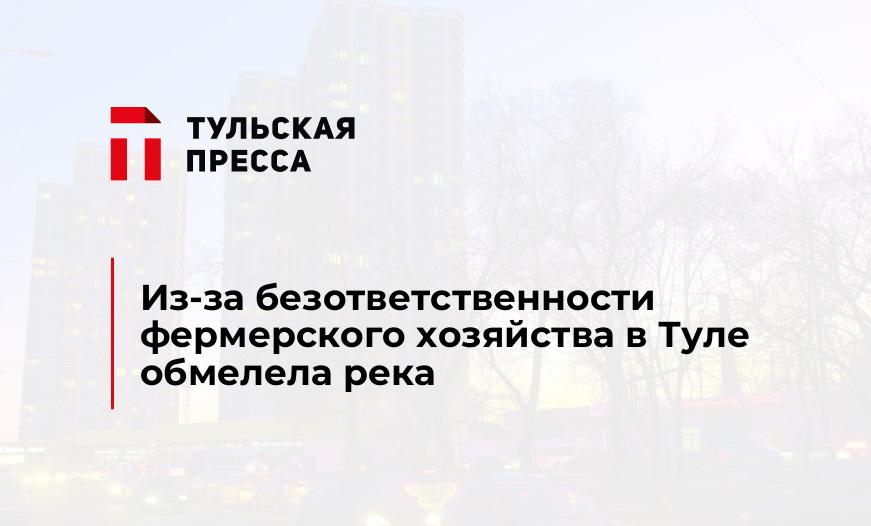 Из-за безответственности фермерского хозяйства в Туле обмелела река